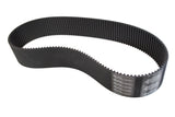 Primary Belts